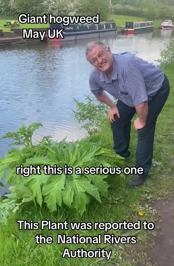 Gardening Pro Dave revealed that the plant is extremely dangerous