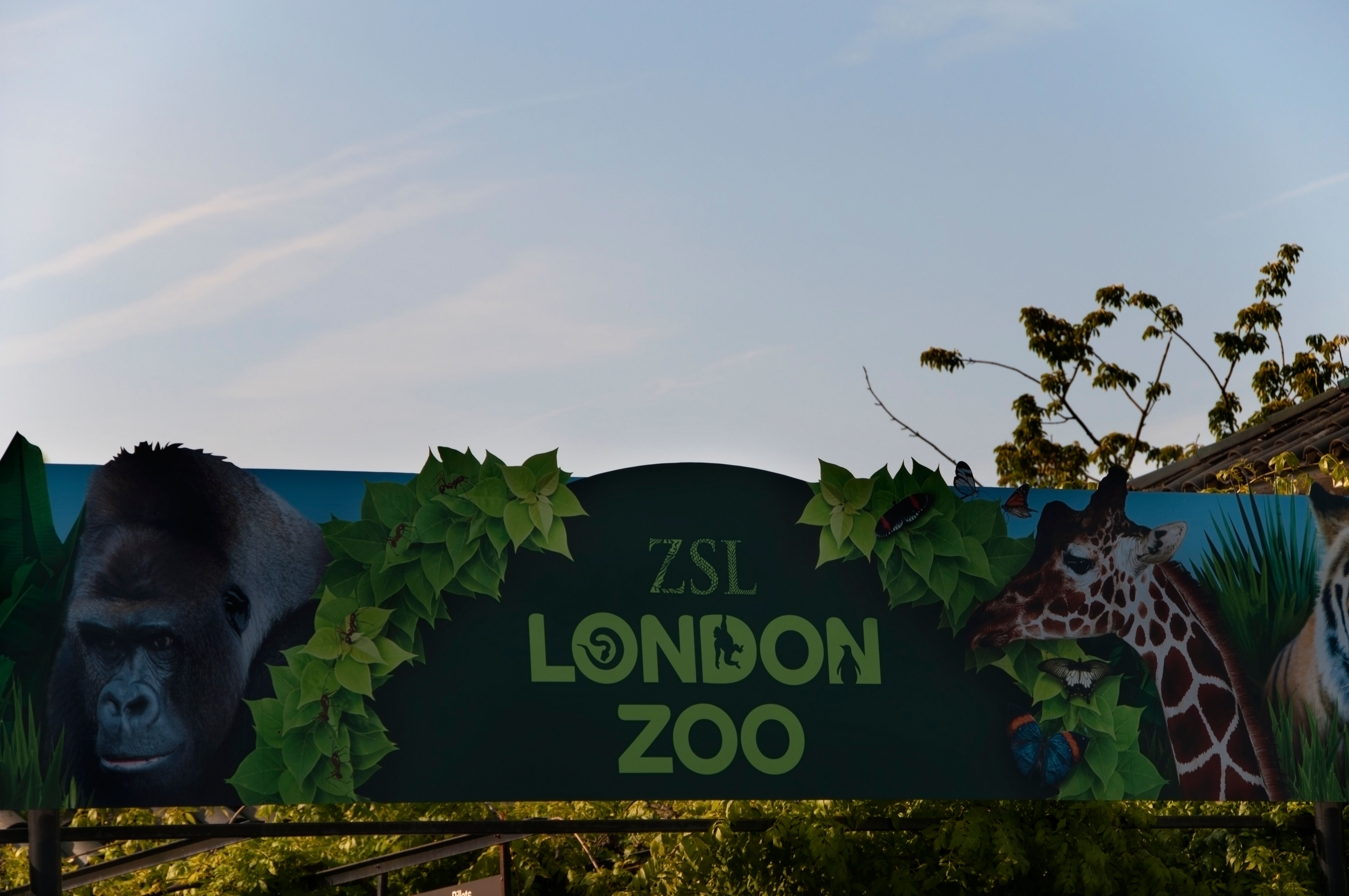 London Zoo is only closed on Christmas Day