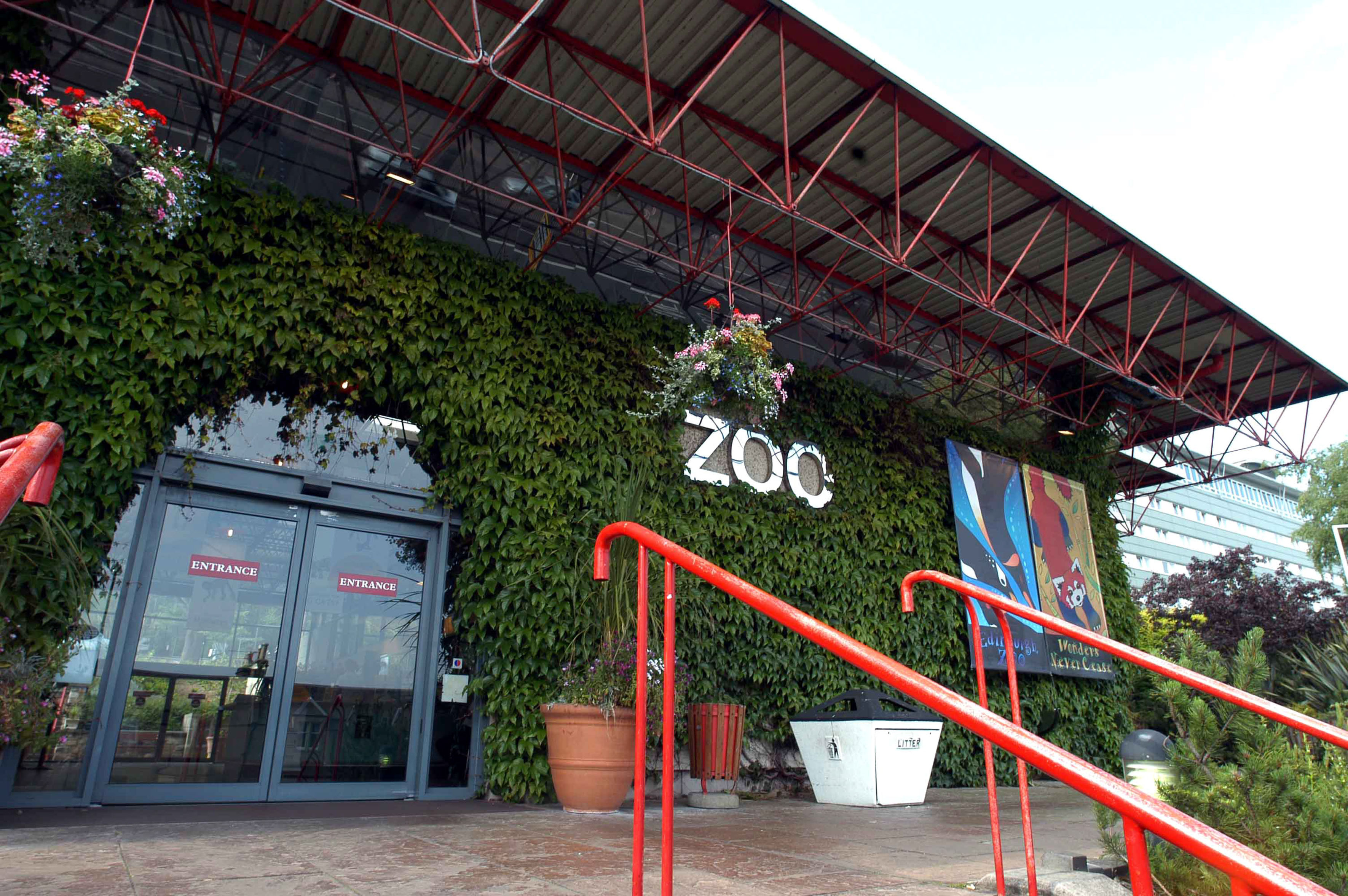 More than 600,000 people visit Edinburgh Zoo every year