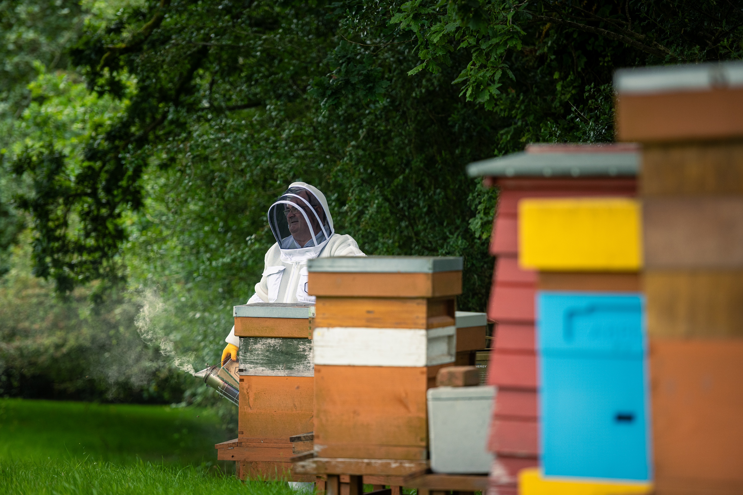 The couple have turned their quirky passion of beekeeping into an 'empire'