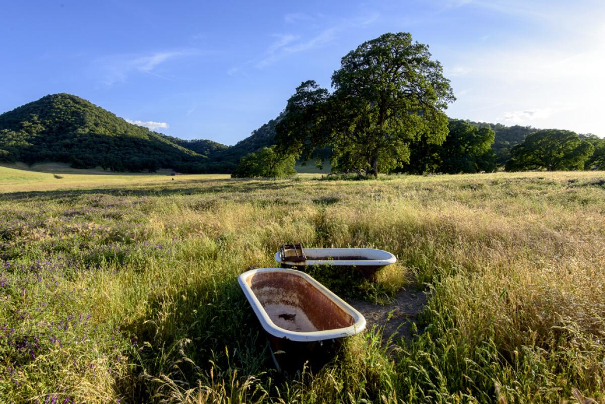 A pair of bathtubs in a green meadow.