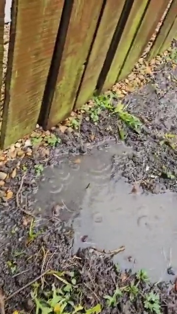 The upset parent showed their garden had become waterlogged