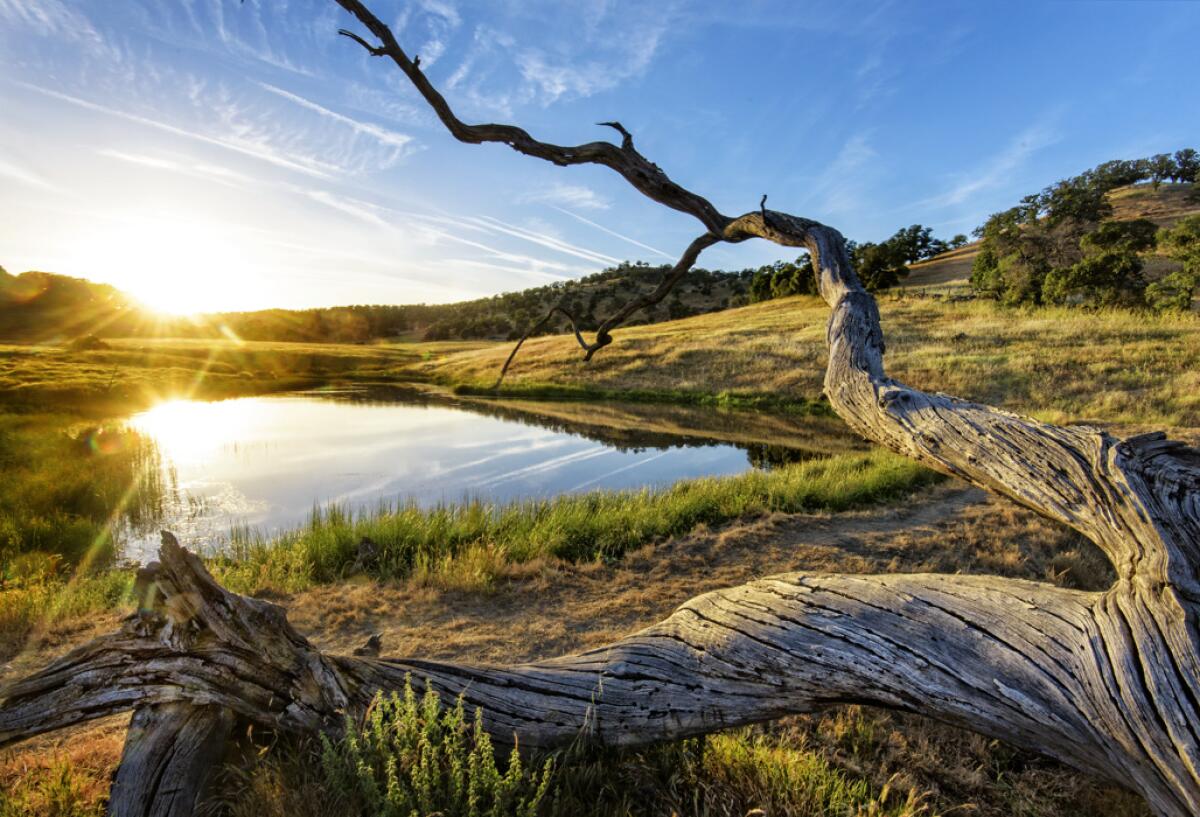 Sun glistens off a lake inside Sutter Buttes State Park. 