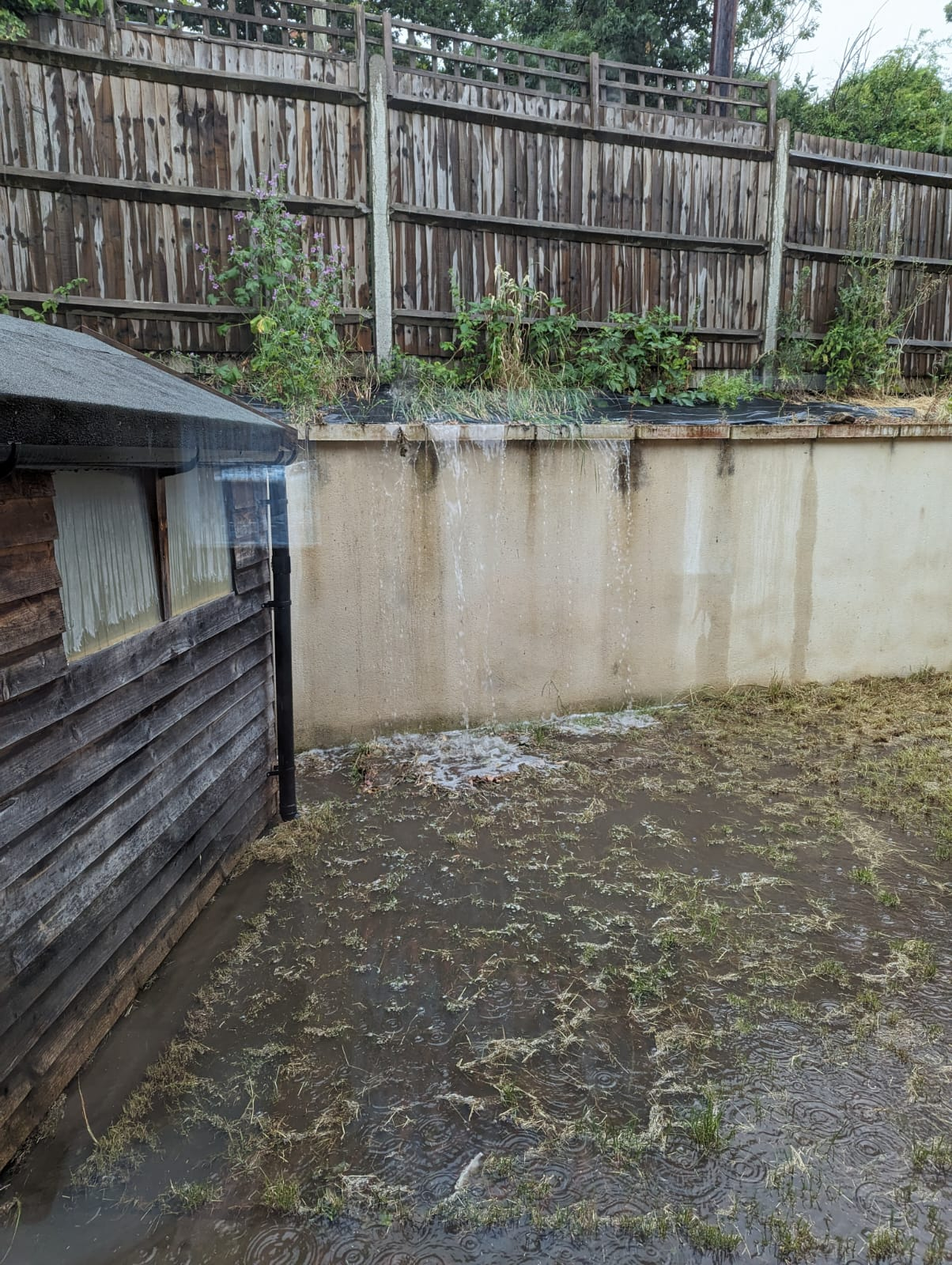 The family-of-five have been subjected to water gushing into their back garden from an overflowing cesspit