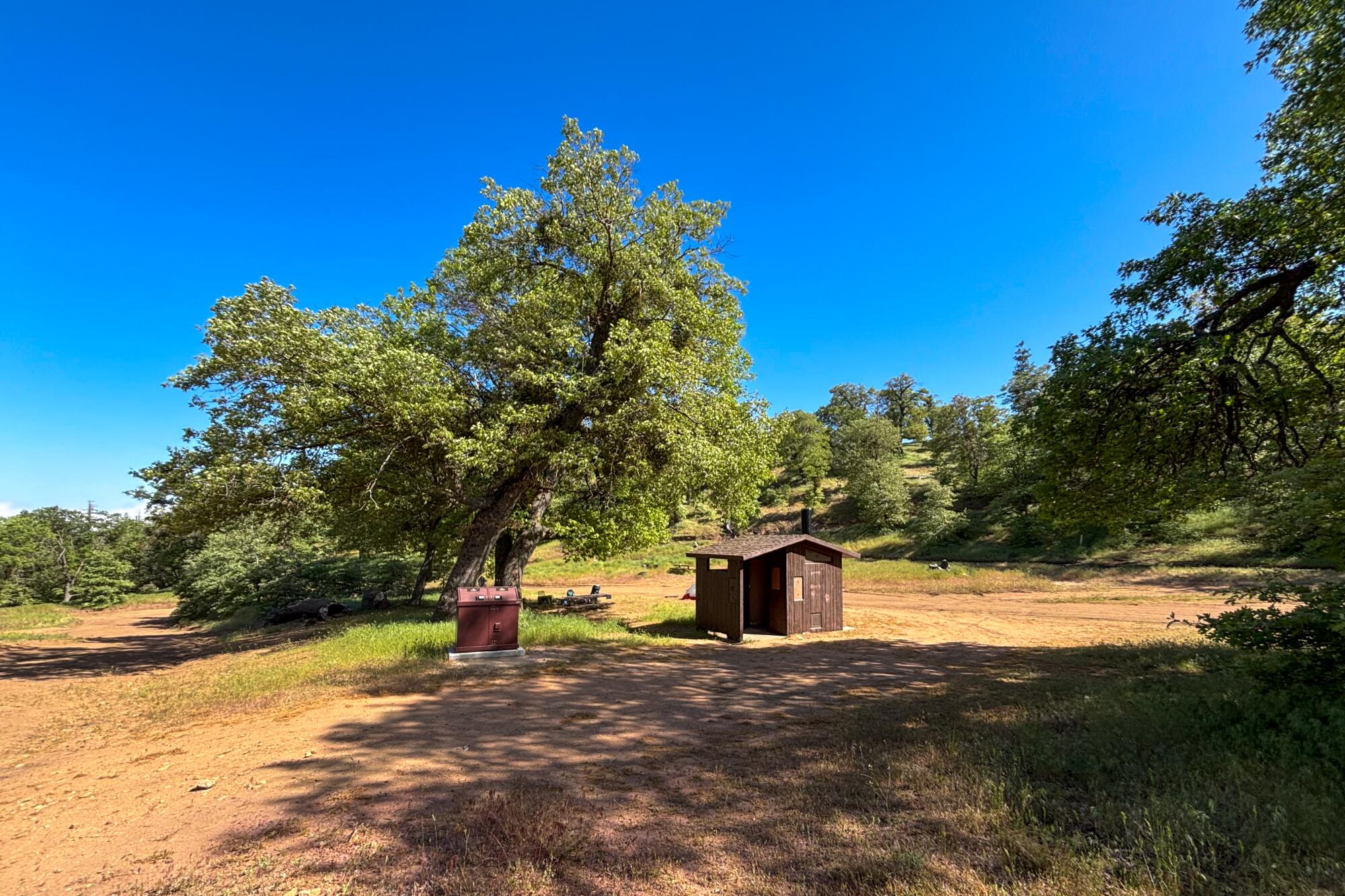 A vault toilet and bear-proof trash can in the middle of a campground 