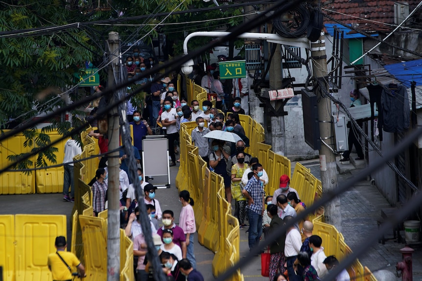 people in between yellow barriers.