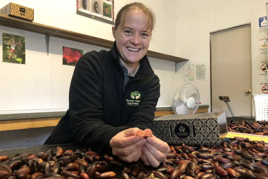 A woman stands at a table covered with finger limes.