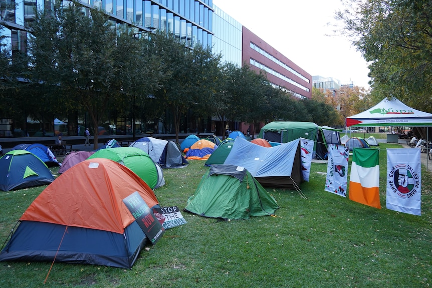 A group of tents and flags across a lawn with buildings behind