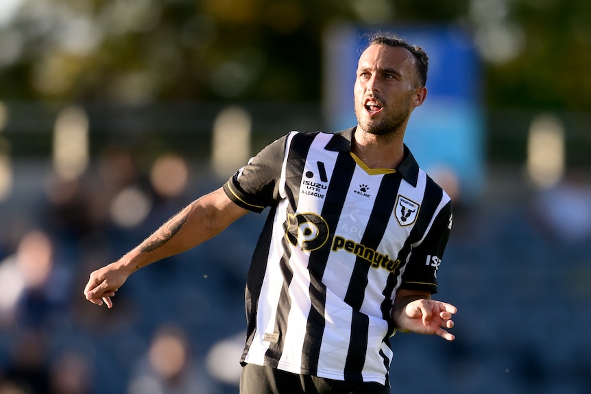 Clayhton Lewis wearing a black and white stripped macarthur fc shirt