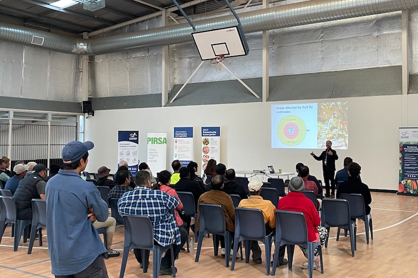 The Northern Adelaide Plains (NAP) Produce Growers Meeting on May 16, 2024