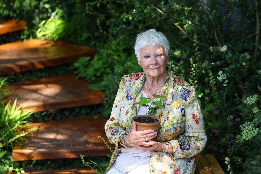 Woman poses with seedling in brown pot 