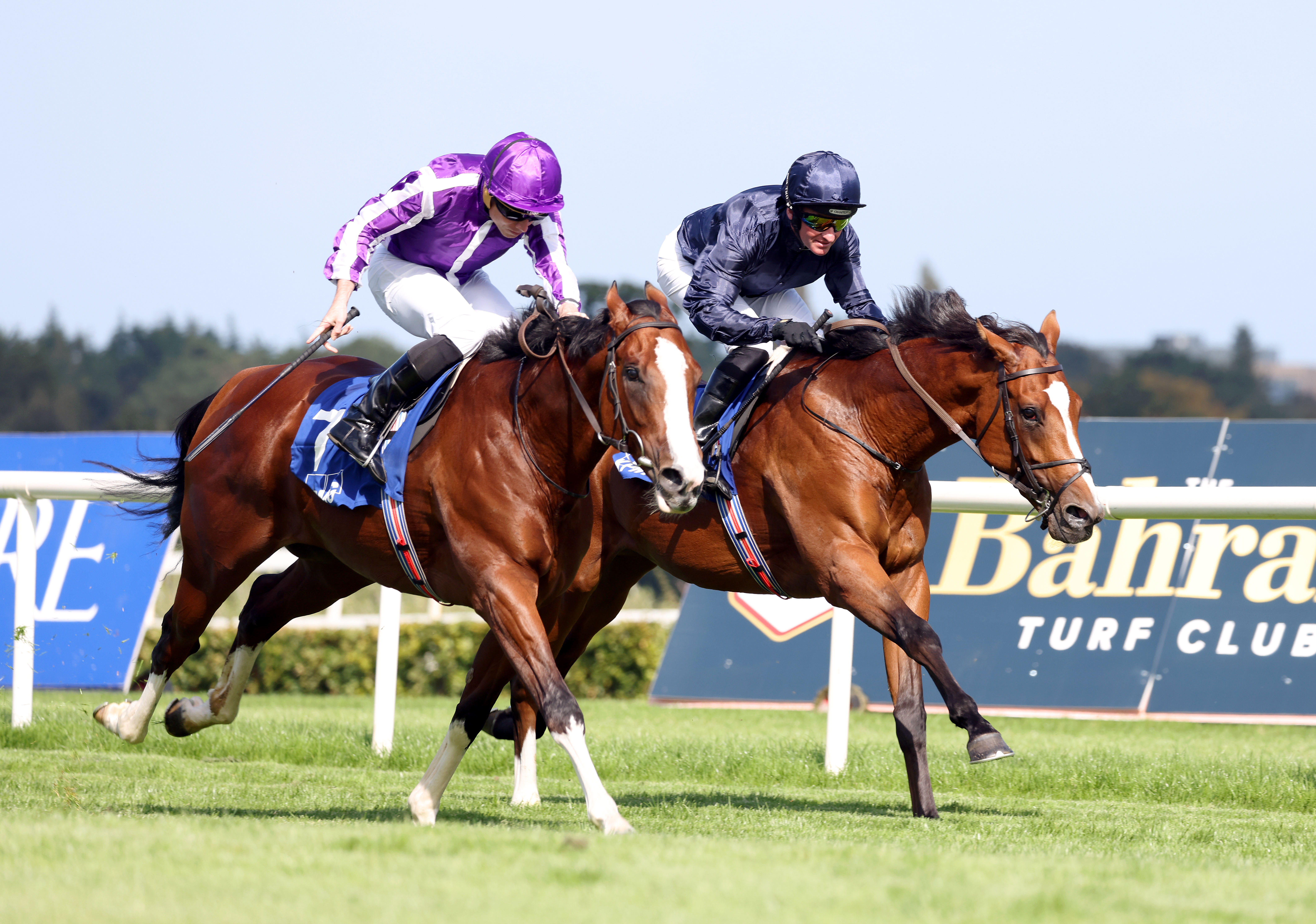 Diego Velazquez, left, will not run in the Derby and will instead go to Chantilly for the Prix Du Jockey Club the day after