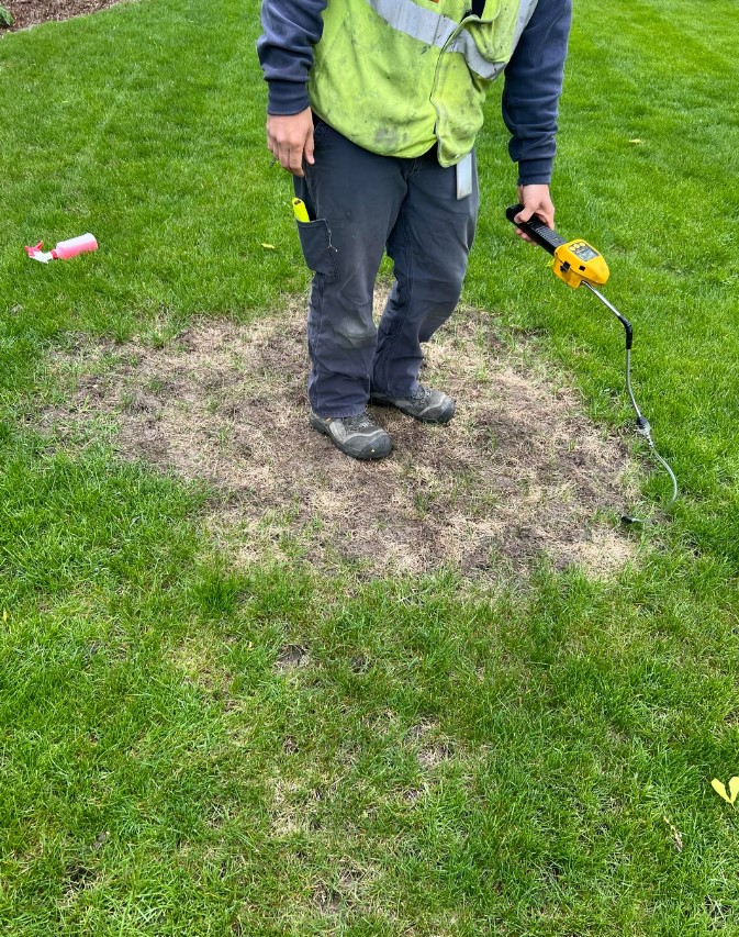 A Redditor warned others that a bald spot on the lawn could indicate a dangerous issue