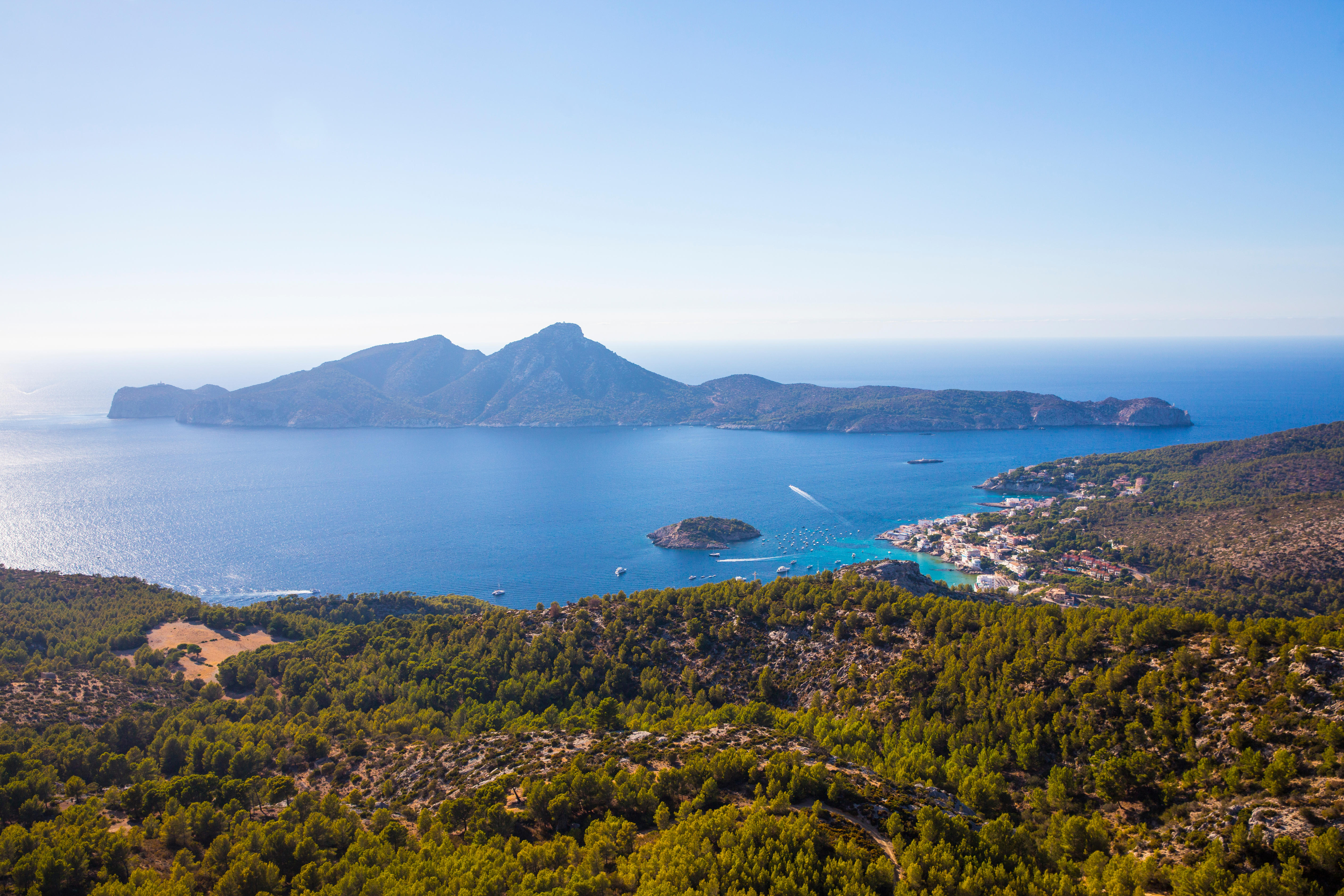 A tiny island off the coast of Majorca is home to millions of friendly lizards