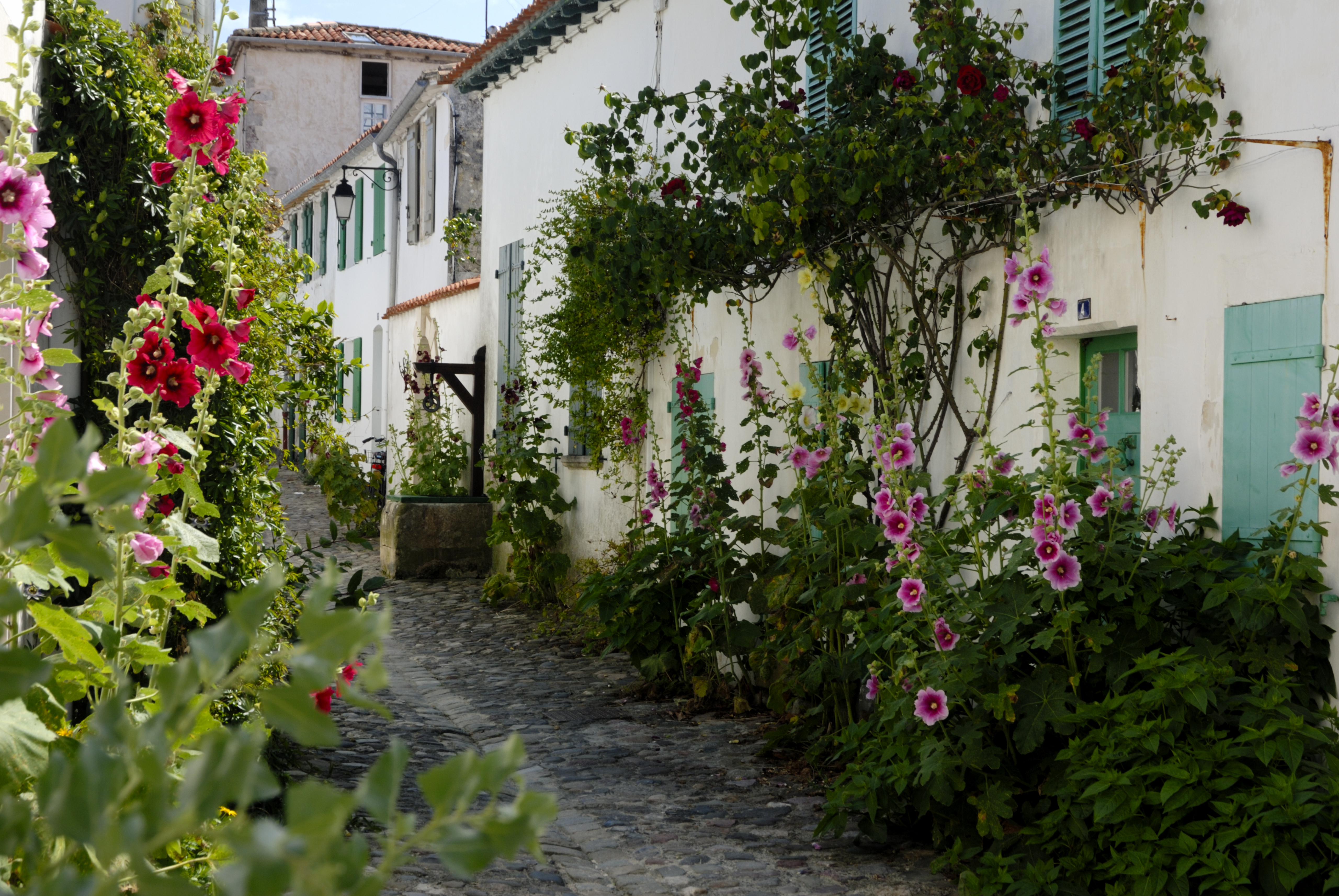 The villages in Ile de Re have been described as 'absurdly pretty'