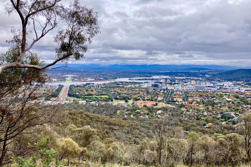 A vantage point view of Canberra, Lake Burley Griffin and Anzac Parade from the top of Mount Ainslie. It's a cloudy day. 