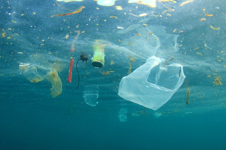 Microplastics in the sea