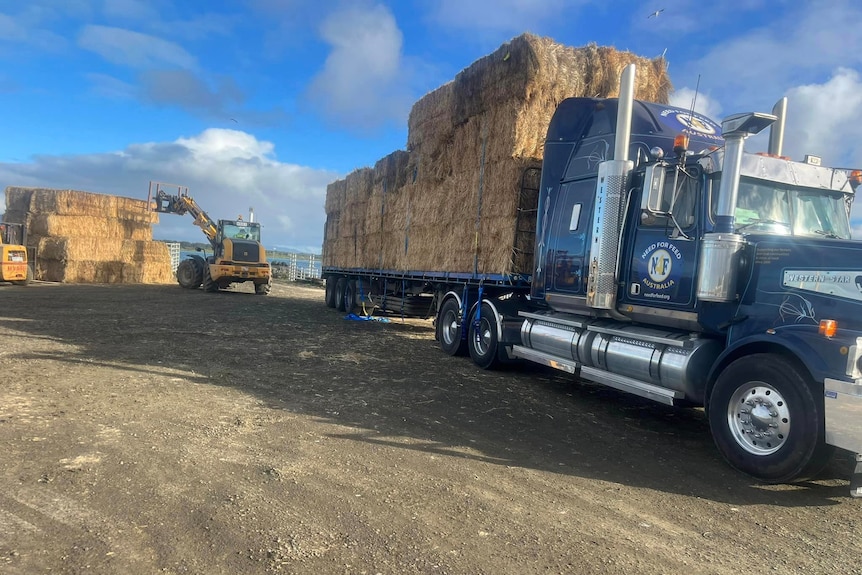 A forklift loads bales of hay onto a large truck