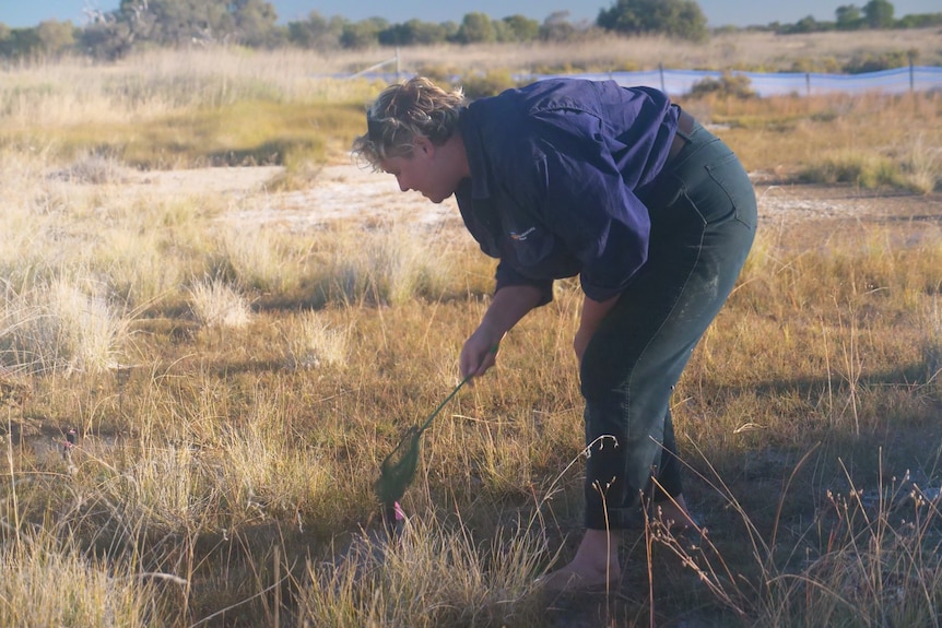 A woman bend over to inspect something in a shallow spring.