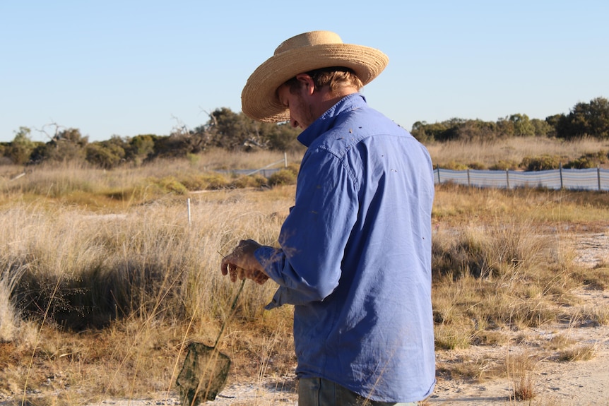 A man in a blue shirt and wide brimmed hat holds a small fish he caught with a small net at a spring