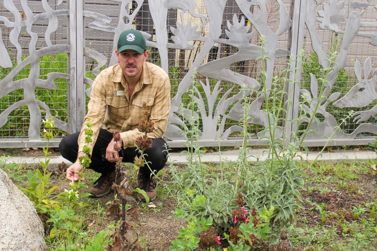 Jake Owens crouches in a native garden at the zoo.