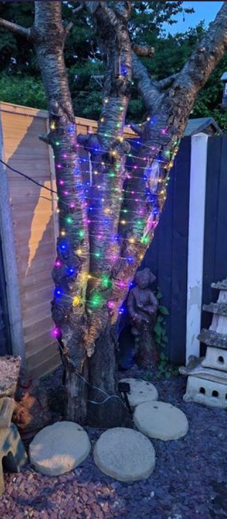 The stringy lights also come in a multi-coloured version and look beautiful when wrapped around garden trees