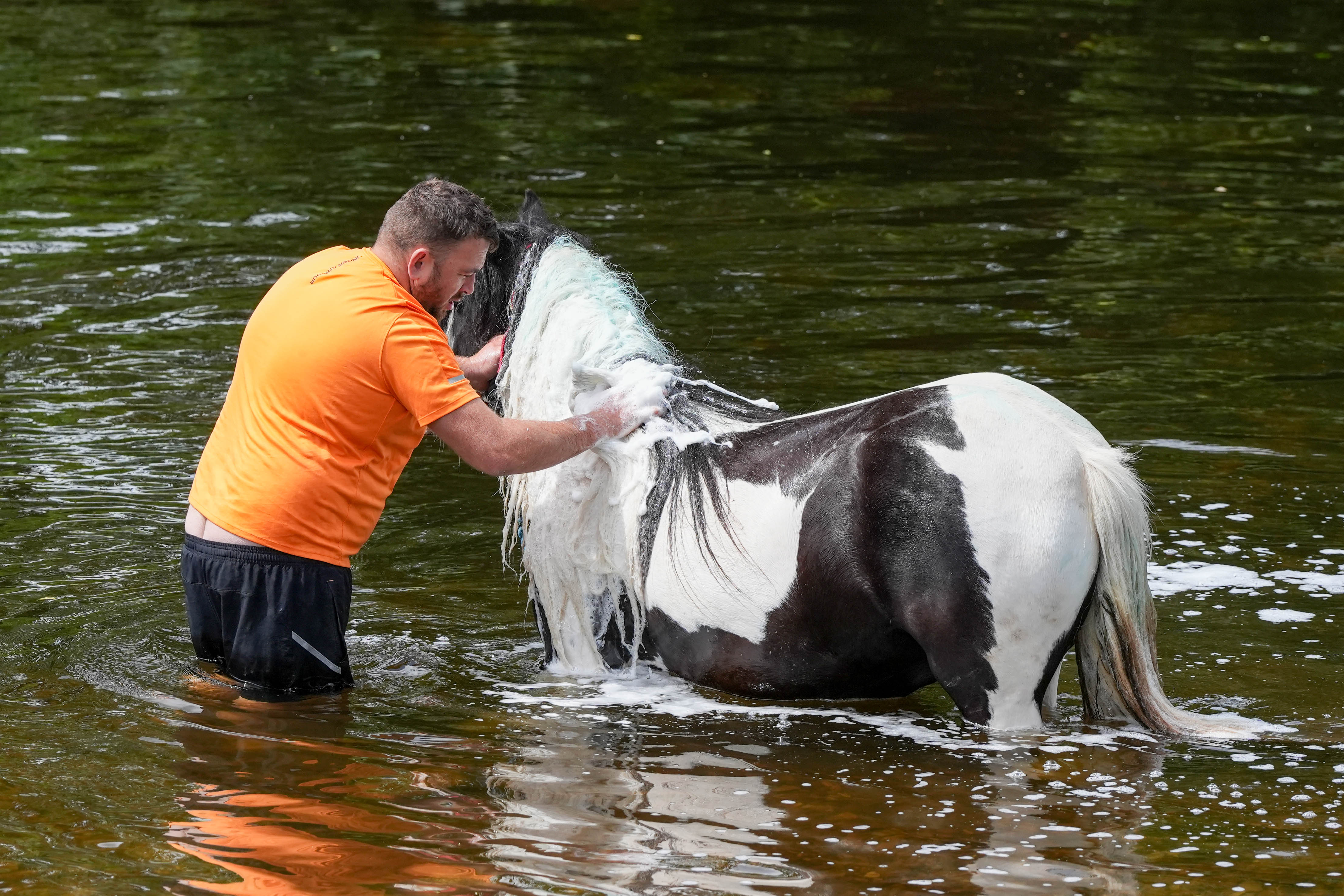 A man washes his horse in the river in Appleby ahead of the Appleby Horse Fair