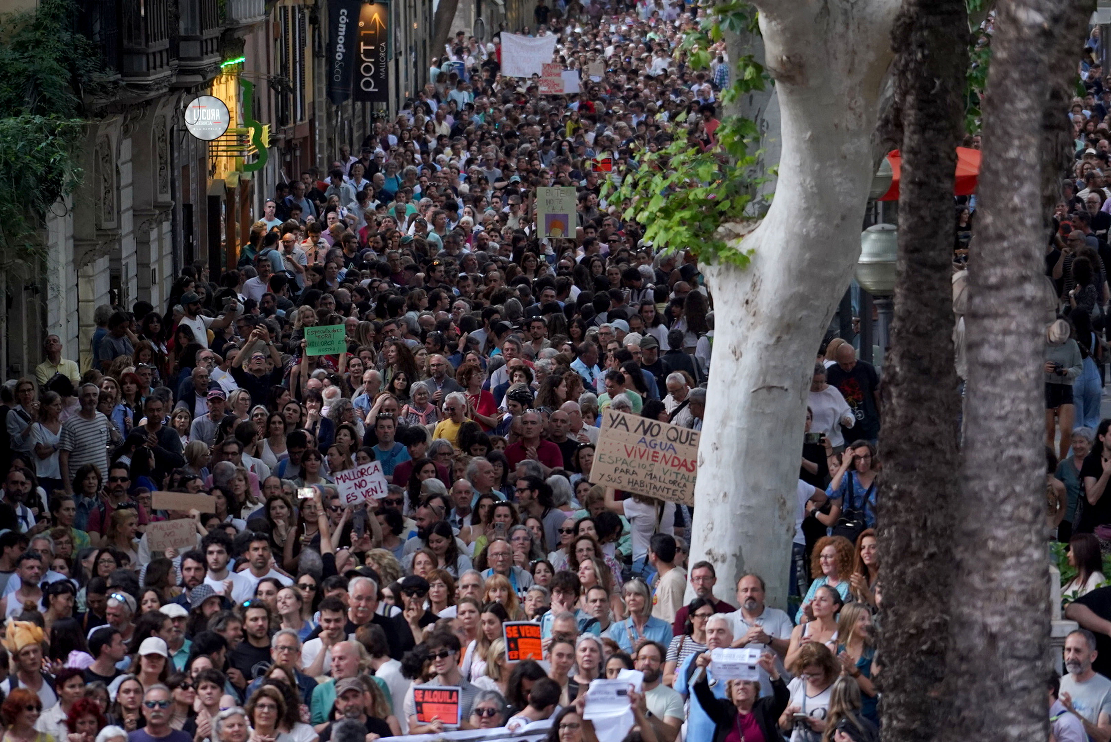 As many as 10,000 people demand limits on the number of visitors allowed in Majorca