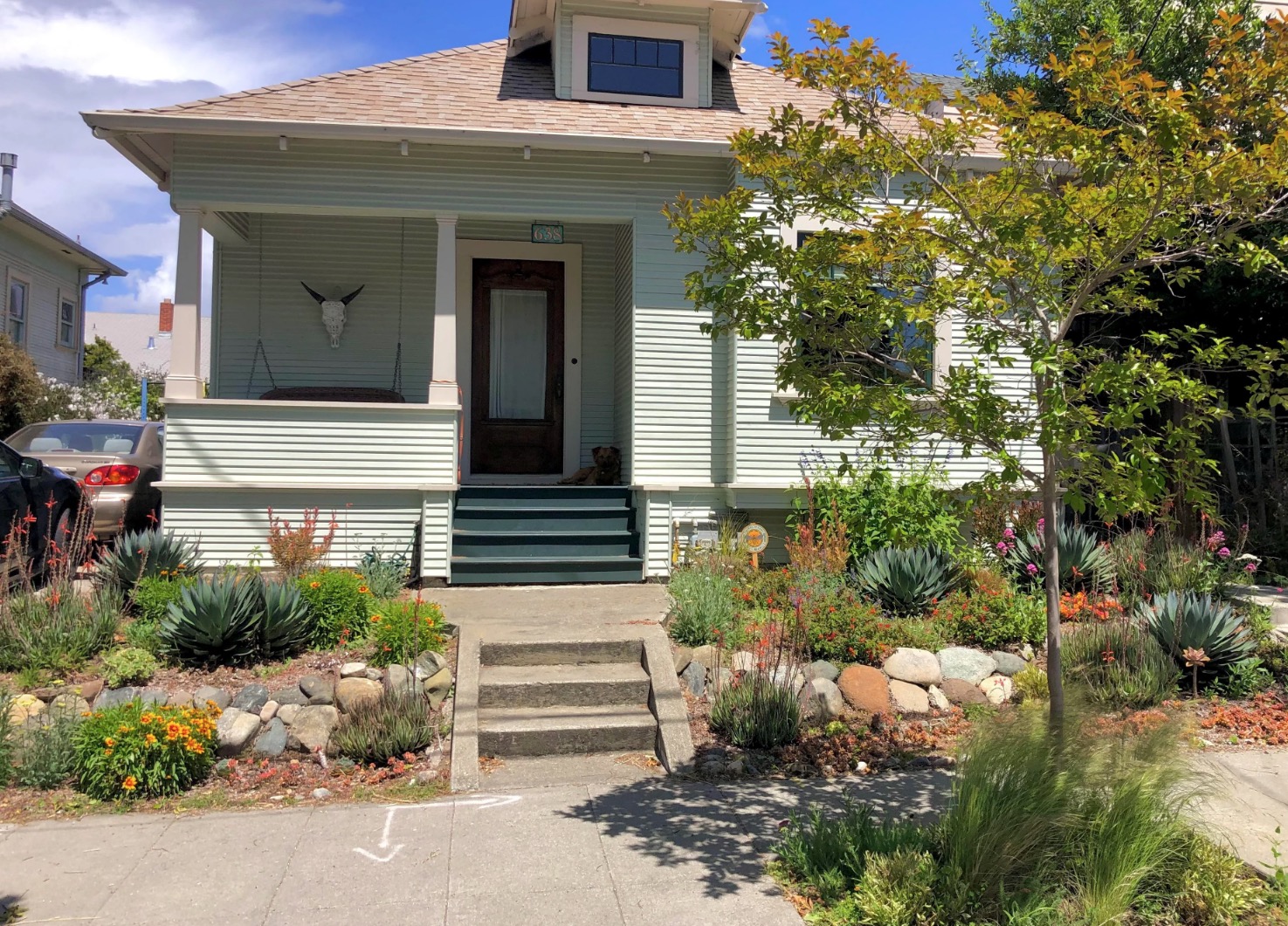 They selected colorful flowers and succulents to give their yard life