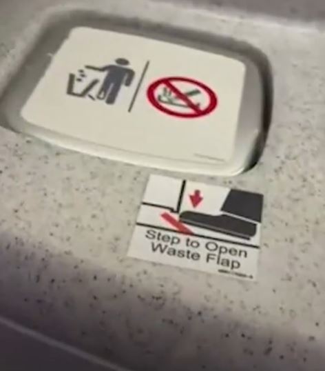 Grant shared the hack for those who'd rather not touch the paper towel bin inside an airplane bathroom