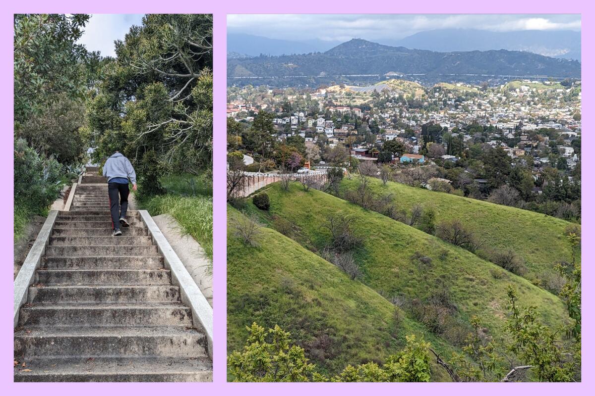 A hidden staircase winds through Mt. Washington a woody area, left, and city and mountain views from a  hiking trail.