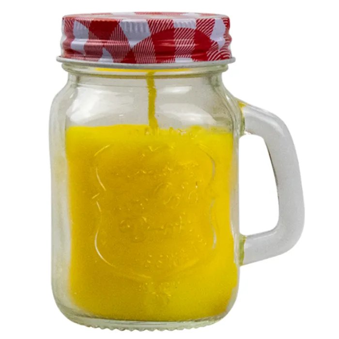 This Mason jar mini citronella candle is just £1.50 from Poundland