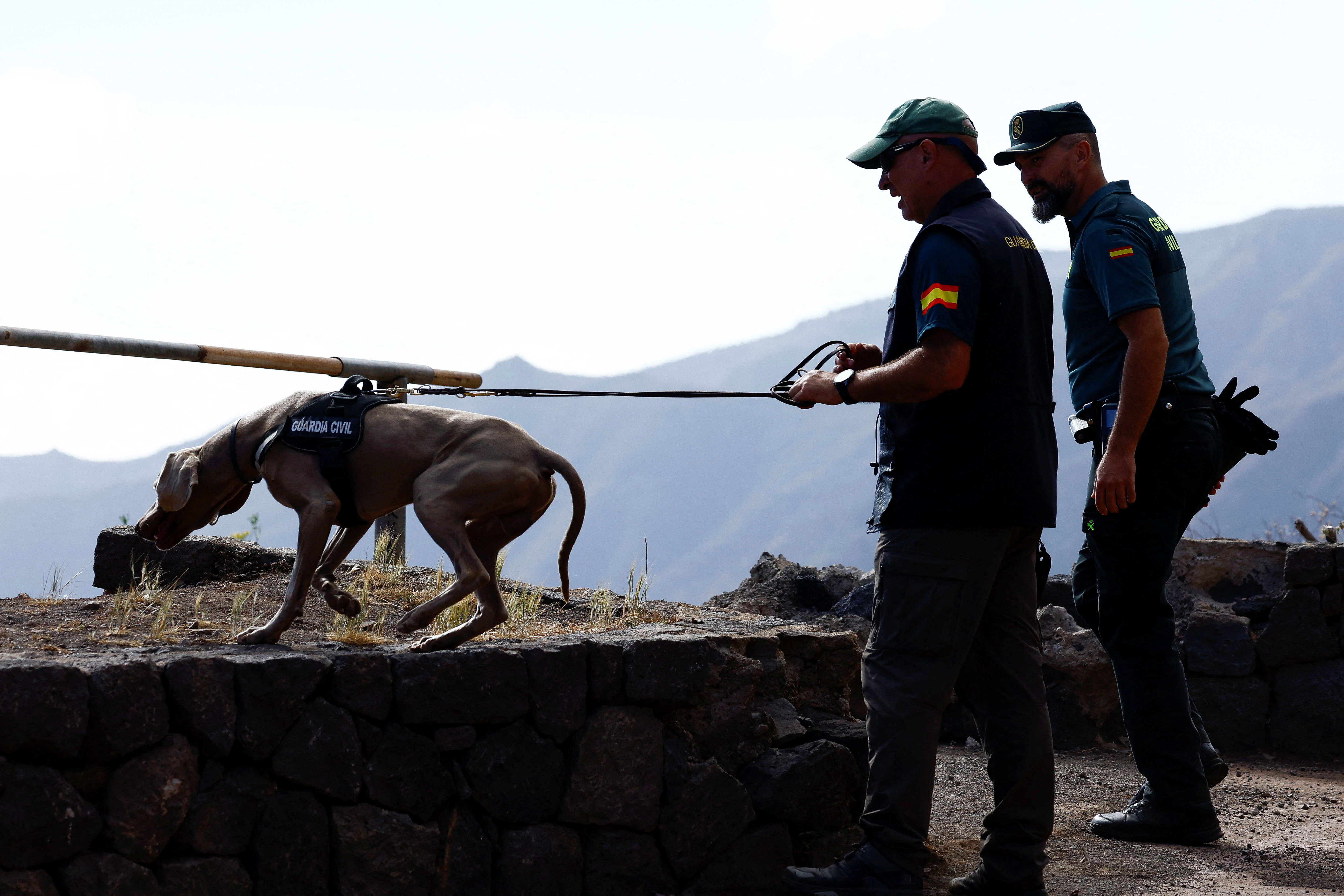 Cops are also using dogs to try and find clues