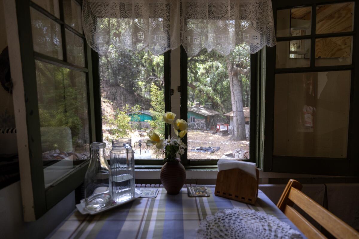  A view out of the dining area window of the Kastens' cabin.