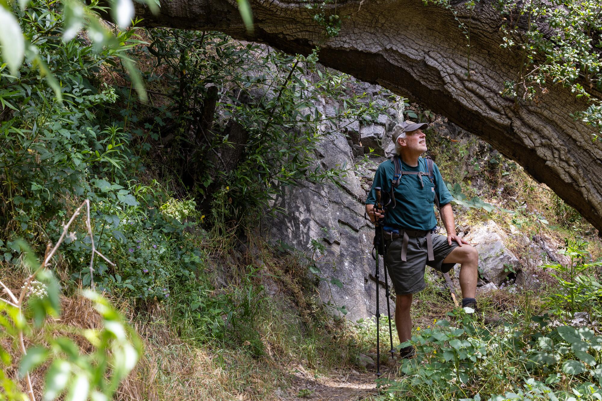 Chris Kasten admires the mountain and forest scenery.