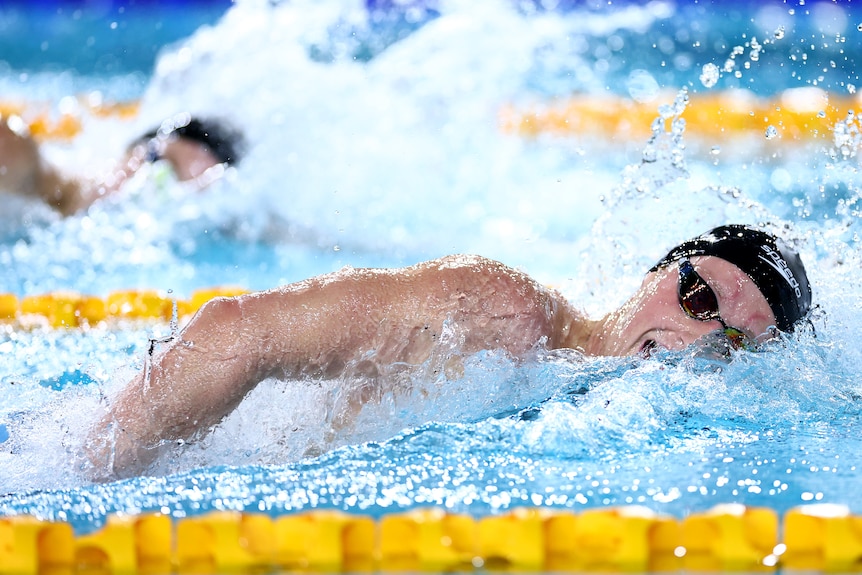 Male swimmer Elijah Winnington swimming freestyle during Australian Swimming Trials