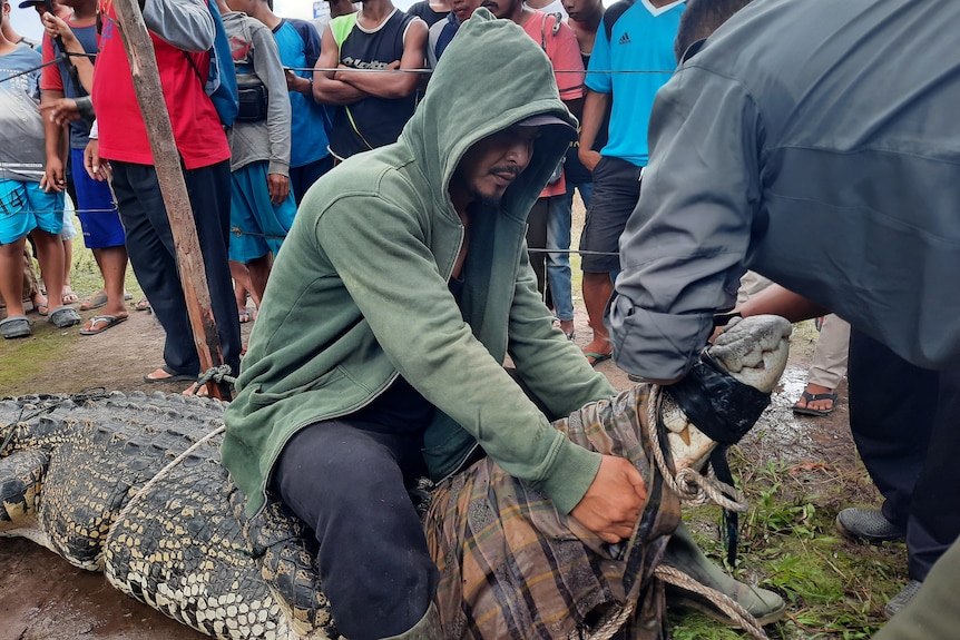 Man on top of a crocodile with tap around itself mouth.