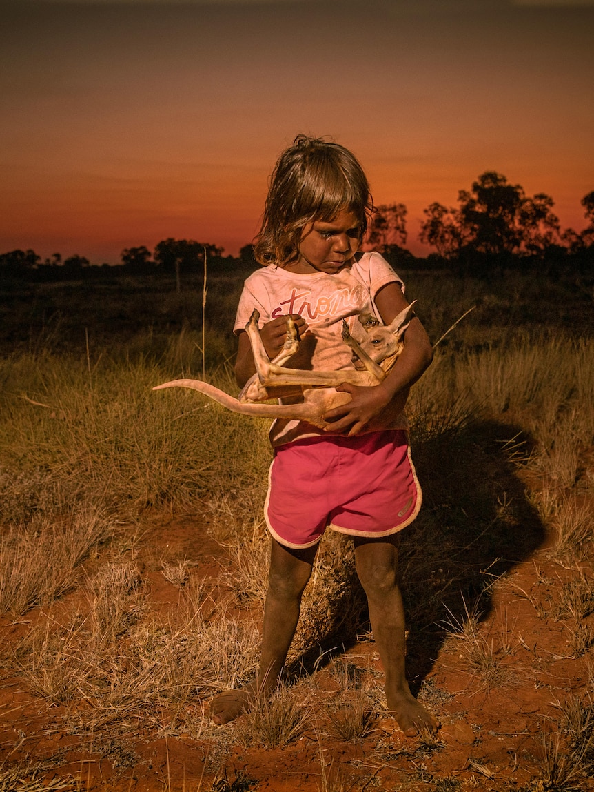 A young girl in pink shirt and shorts holds a kangaroo joey 