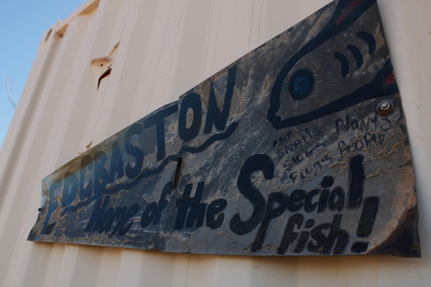 A sign reading Edgebaston Home of the Special Fish has been hung on a shed on the reserve