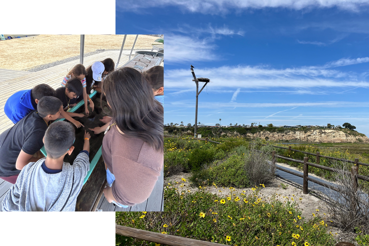 The Back Bay Science Center in Newport Beach includes trails, touch tanks and an osprey cam.