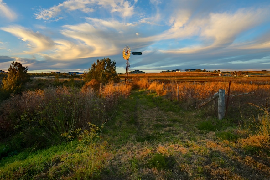 A windmill in a paddock jsut before sunset