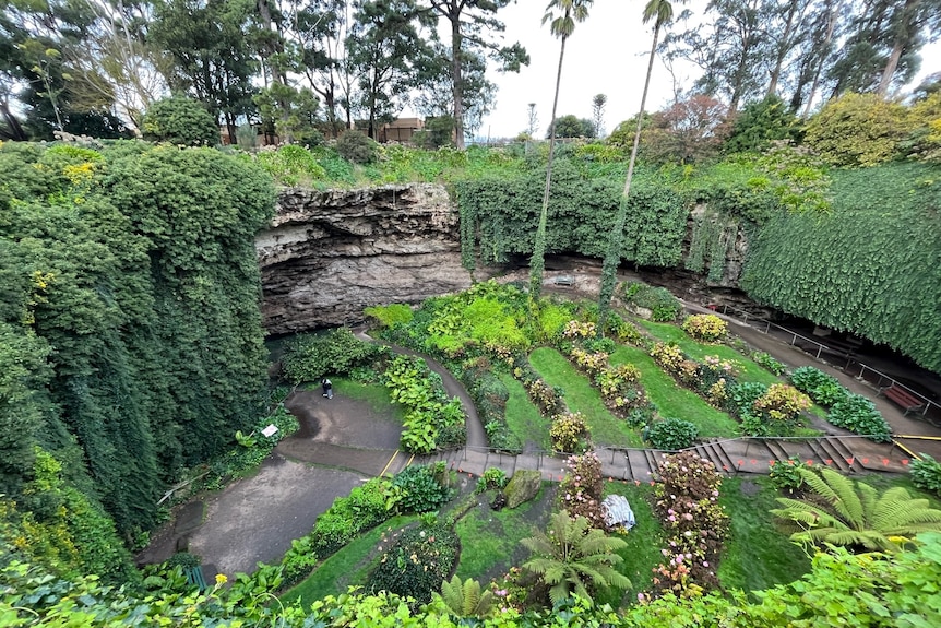 A large hole in the ground filled with flowers and vines and palm trees