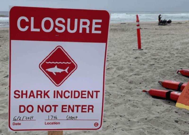 Lifeguards in California's town of Del Mar closed sections of its beaches on Sunday following a shark attack. Photo courtesy of City of Del Mar/release