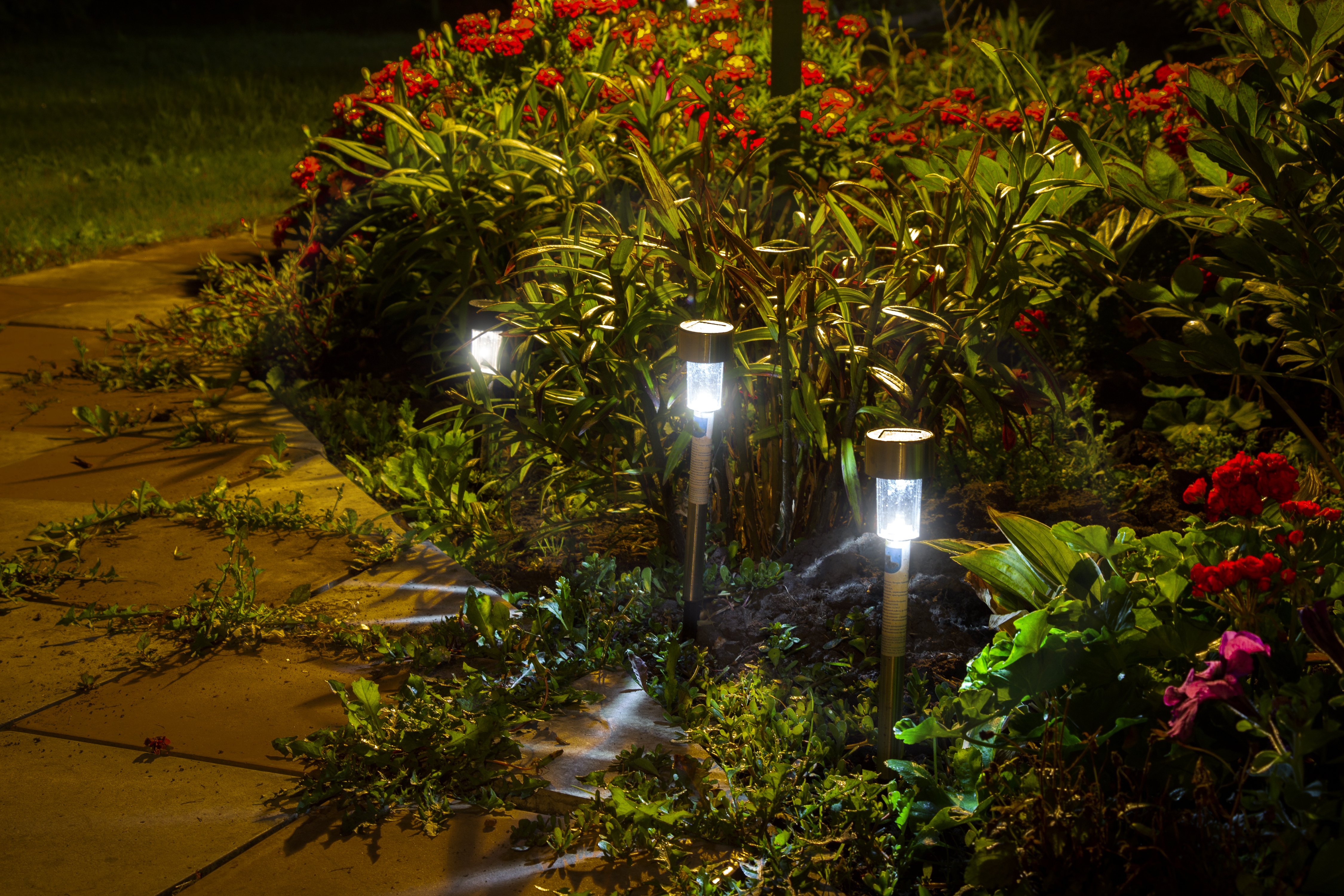 Solar lights can brighten up your home and garden, and are also low-cost