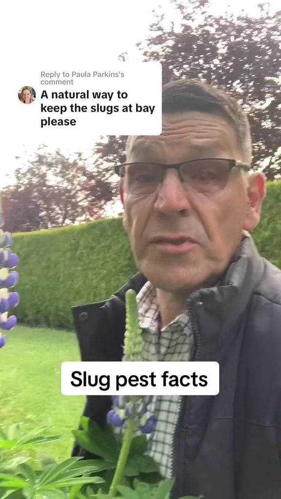 The gardening guru took to TikTok to explain why the hack works to well