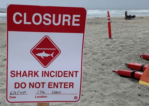 A man was bit by a shark in the early hours of Sunday morning