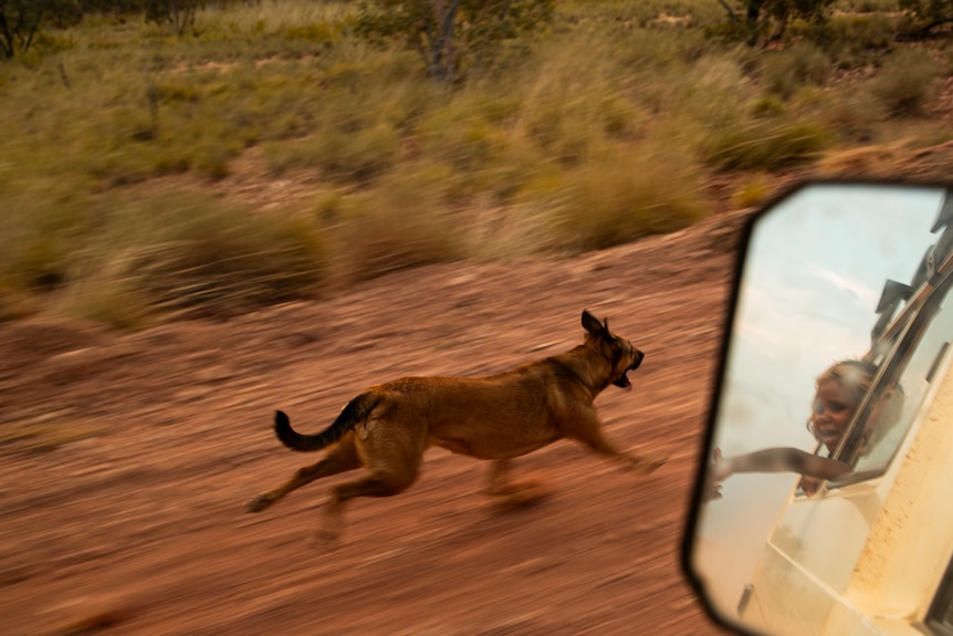 A dog runs alongside a car and a girl is reflected in the car's mirror 