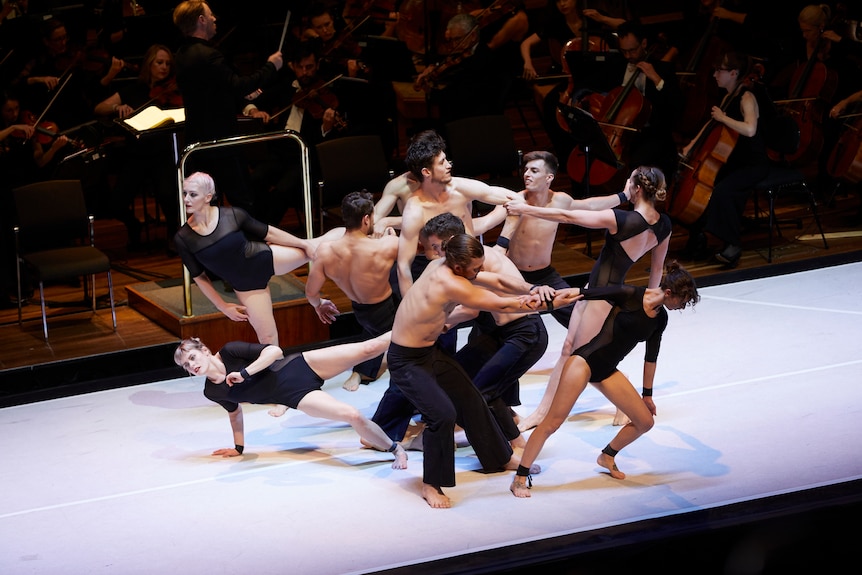 A group of dancers in leotards or plain black pants extend an arm or leg into centre like a group of body parts.