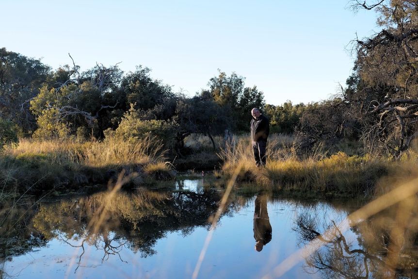 A man stands beside a spring on a grassy ledge looking into the water, with his reflection in the water