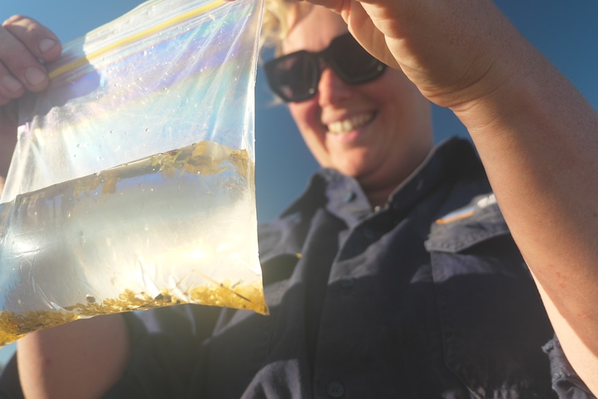 Woman in sunglasses holding up a plastic bag with fish inside.